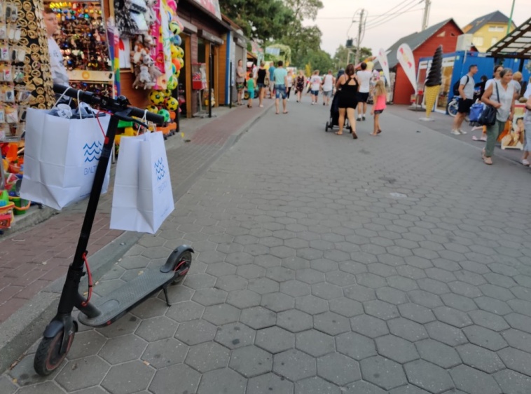 Wypożyczalnia Hulajnóg Dziki Rex