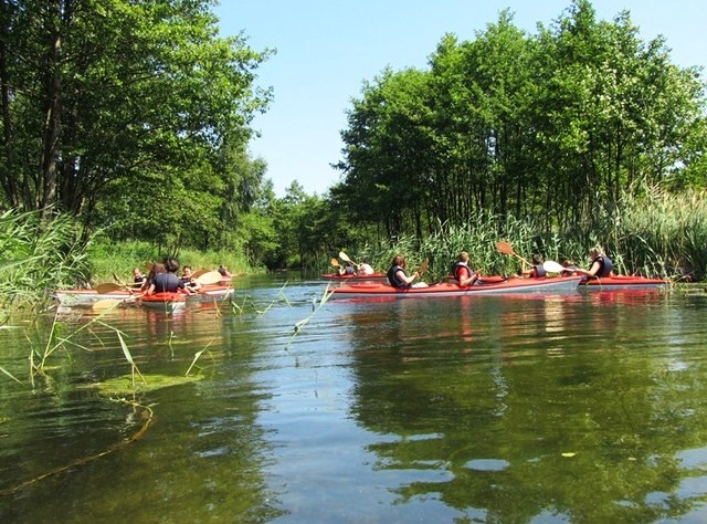 Spływy kajakowe rzeką Piaśnicą